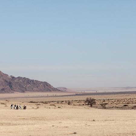 Desert Homestead Lodge Сесрием Екстериор снимка